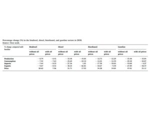 Looking towards policies supporting biofuels and technological change: Evidence from France