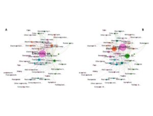 Mapping China's flows of emissions in the world's carbon footprint: A network approach of production layers.