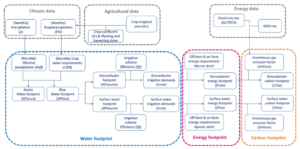 Cross-sectoral implications of the implementations of irrigation water use efficiency policies in Spain: A nexus footprint approach. Ecological indicators 109 (2020)105795.