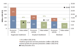 ocioeconomic implications of biofuels deployment through an Input-Output approach. A case study in Uruguay,Renewable and Sustainable Energy Reviews